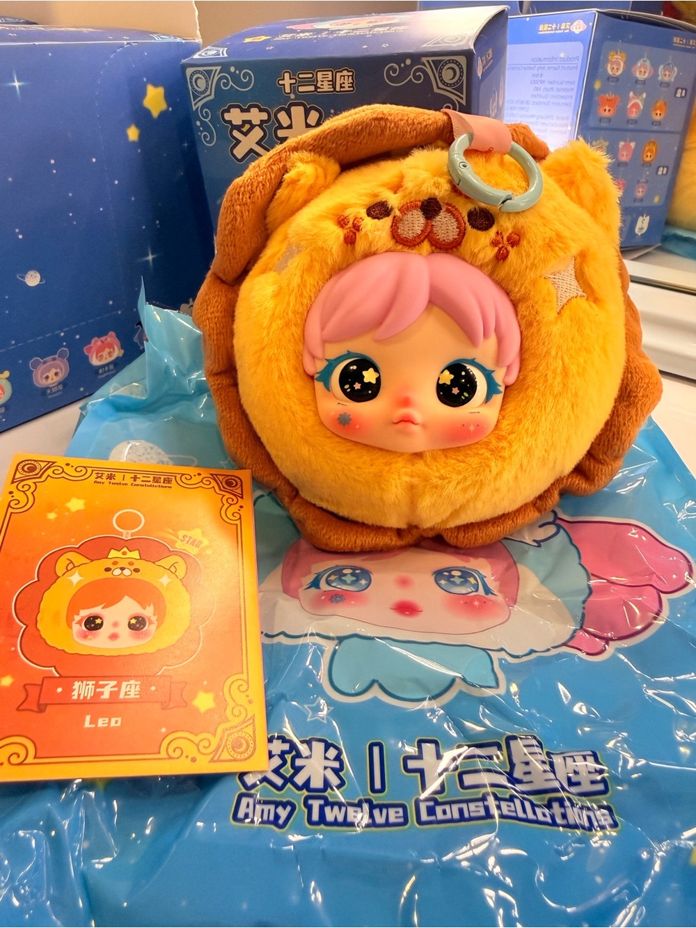艾米AMY LEO Plush Blind Box